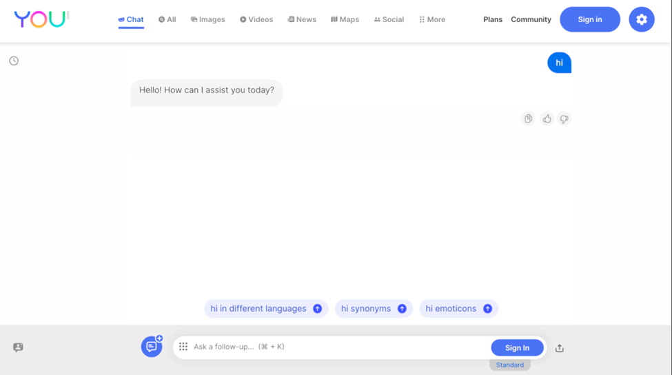 YouChat user interface